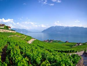 Switzerland